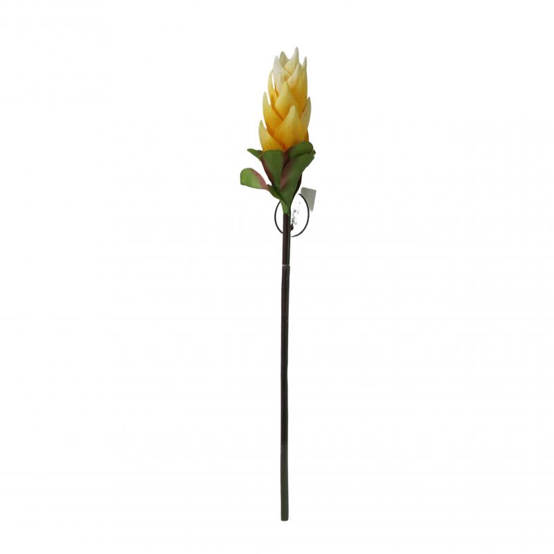 Kurkuma sztuczna 50cm